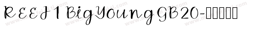 REEJ1 BigYoungGB20字体转换
